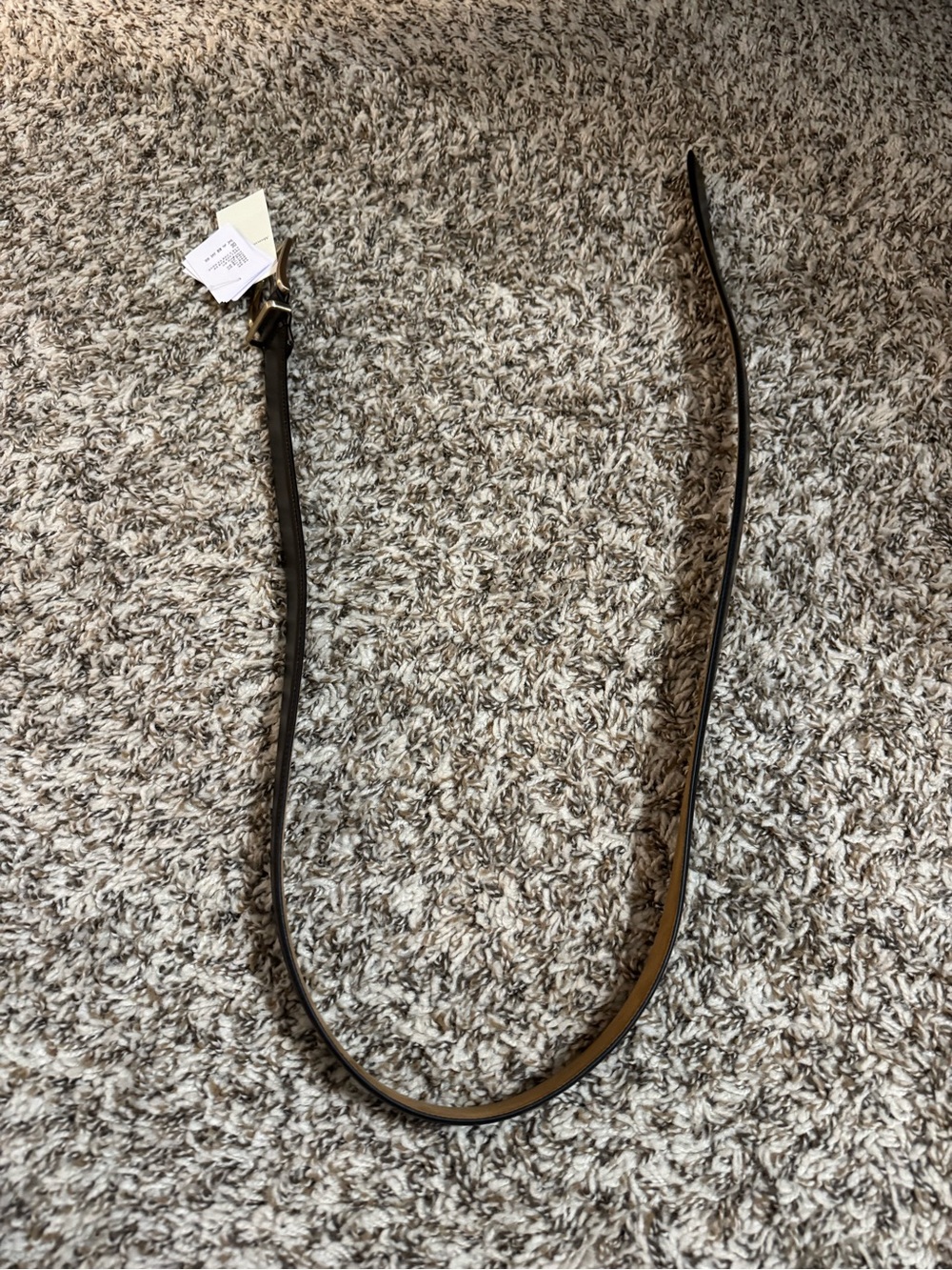NWT Abercrombie Classic Women's Black Leather Belt